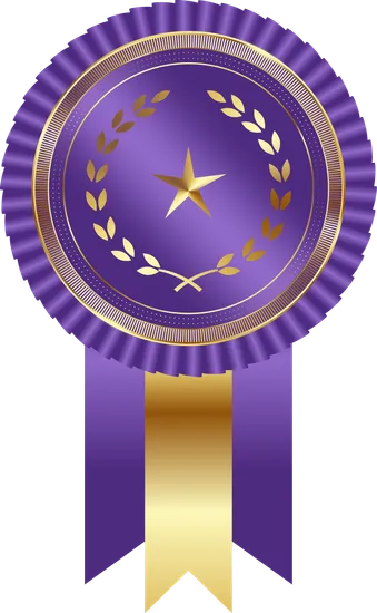 Purple medal Rainbet